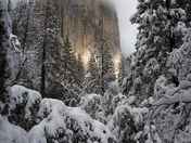 Yosemite National Park