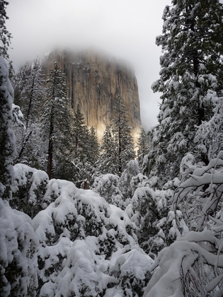 Yosemite National Park