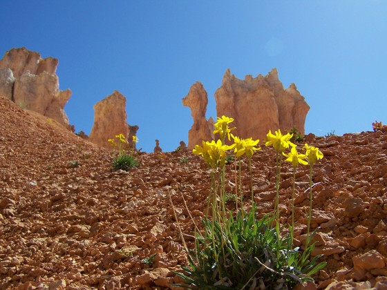 Bryce Canyon