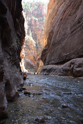 Zion National Park