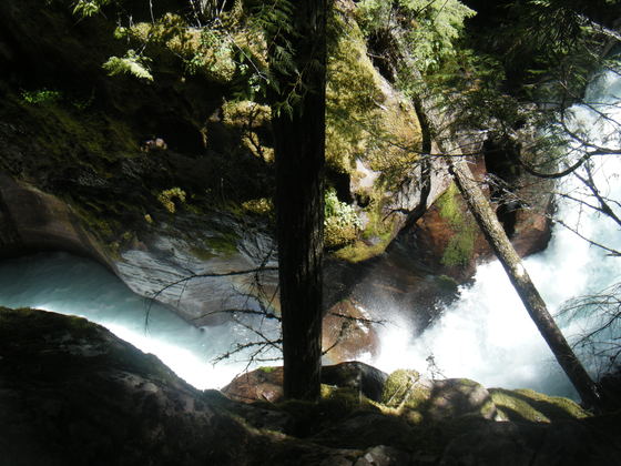 Glacier National Park