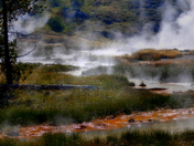 Yellowstone National Park