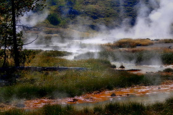 Yellowstone National Park