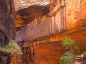 Zion National Park