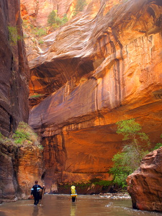 Zion National Park
