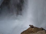 Yosemite National Park