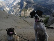 Yosemite National Park