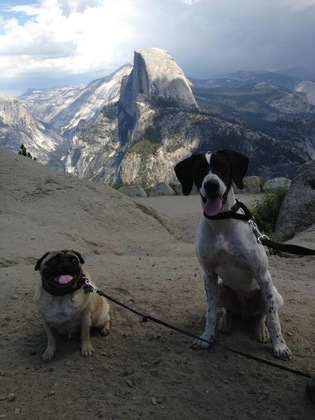 Yosemite National Park
