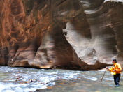 Zion National Park