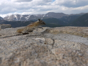 Rocky Mountain national park