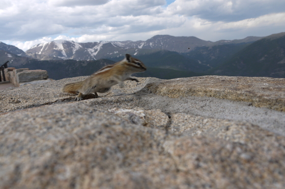 Rocky Mountain national park