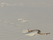 White Sands National Park