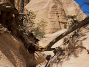 Tent Rocks National Monument