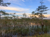 Everglades National Park