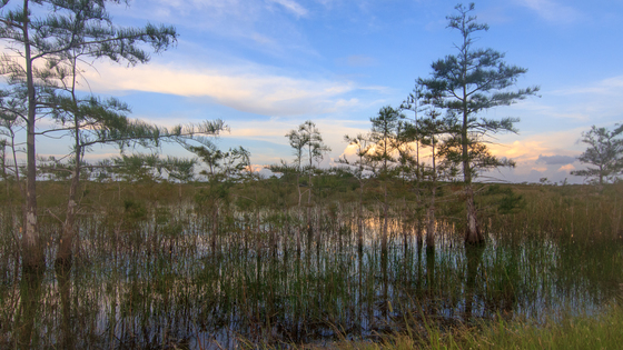 Everglades National Park