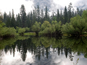 Yosemite National Park