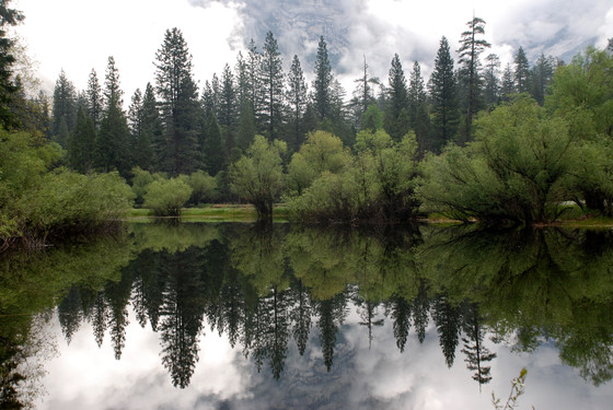 Yosemite National Park