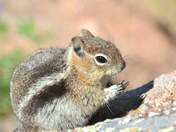 Rocky Mountain National Park