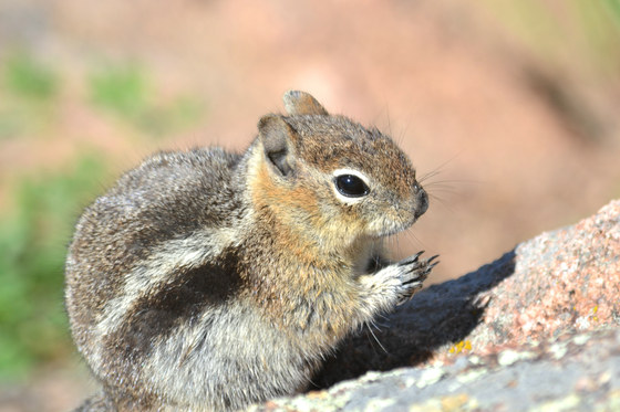 Rocky Mountain National Park
