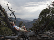 Kaibab National Forest