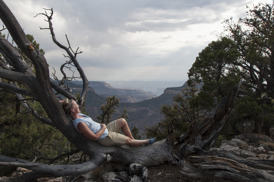 Kaibab National Forest