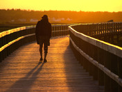 Bouctouche Dune boardwalk