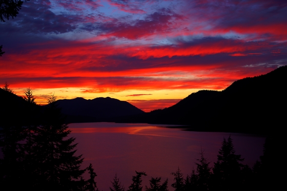 Olympic National Park