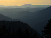 Yosemite / Wawona RD