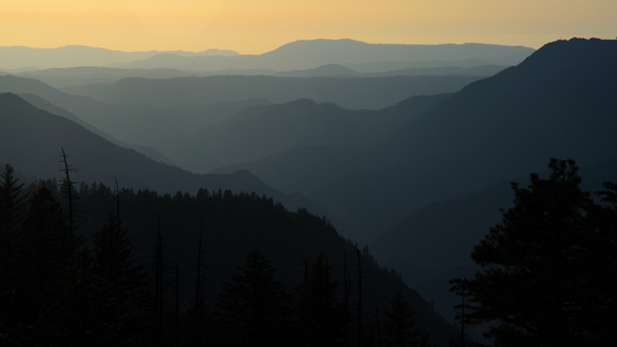 Yosemite / Wawona RD