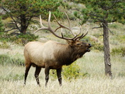 Rocky Mountain National Park