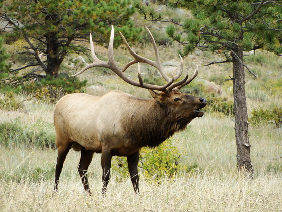 Rocky Mountain National Park