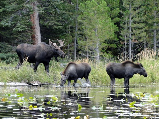Rocky Mountain National Park