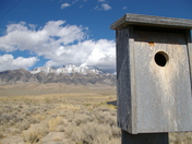 Mackay Reservoir Recreation Site