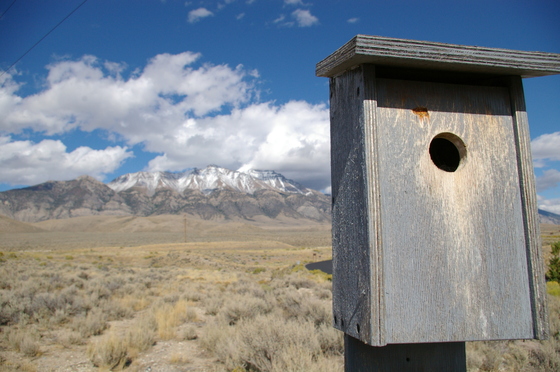 Mackay Reservoir Recreation Site