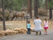 Grand Canyon National Park