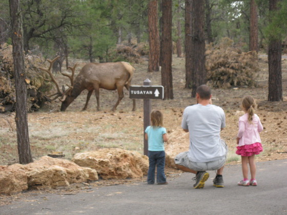 Grand Canyon National Park