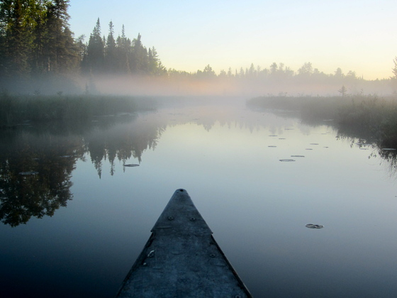 BWCA
