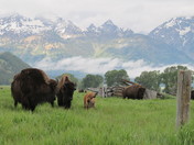 Grand Teton National Park