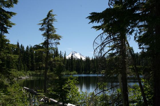 Mount Hood National Forest