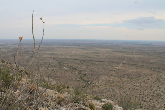Carlsbad Caverns National Park