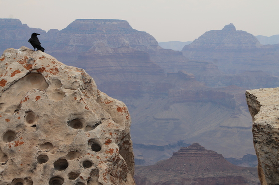 Grand Canyon National Park