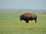 Badlands National Park