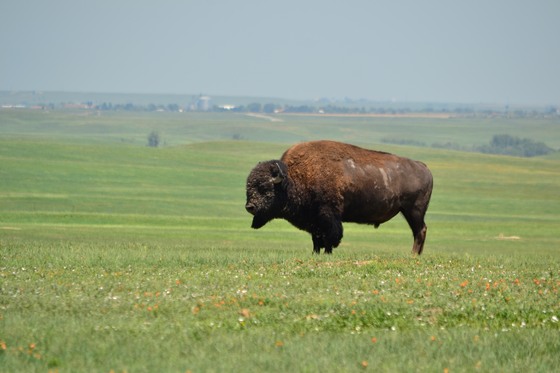 Badlands National Park