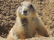 Rocky Mountain Arsenal National Wildlife Refug