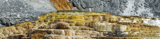 Yellowstone National Park
