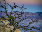 Grand Canyon National Park