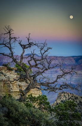 Grand Canyon National Park