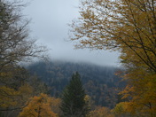 Great Smoky Mountains NP