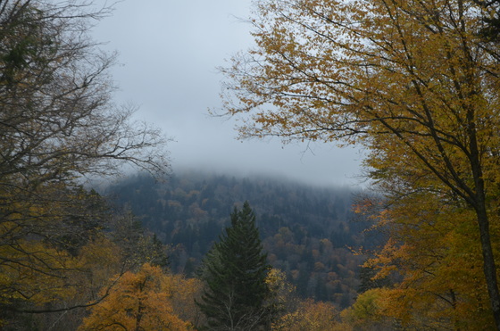 Great Smoky Mountains NP