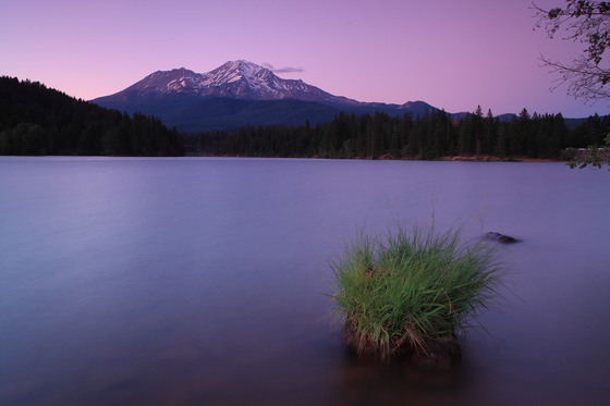 Shasta National Forest